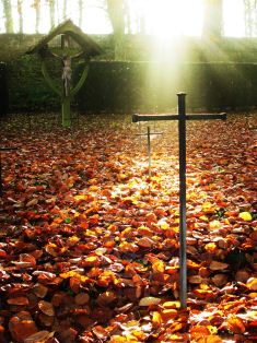 Nun's graveyard in autumn